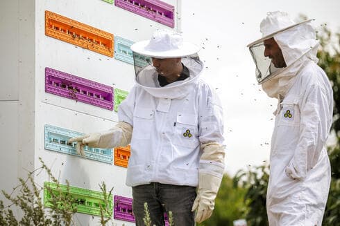 Saar Safra, director general de Beewise, y Hallel Schreier, jefe de investigación, junto a una colmena robótica desarrollada por la compañía en Beit Haemek. 