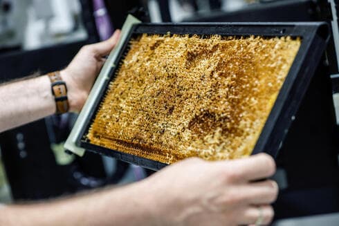 Un panal, parte de una colmena robótica desarrollada por la empresa israelí Beewise, en Beit Haemek.