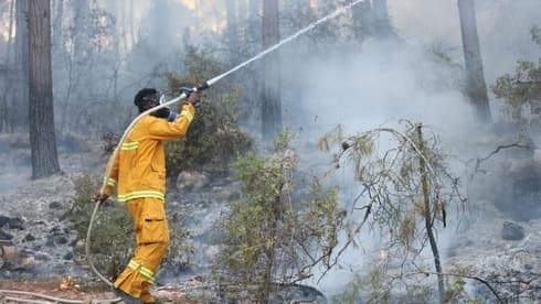 Un bombero lucha contra las llamas en el área de Jerusalem. 
