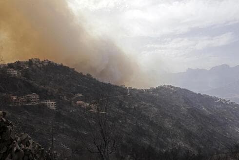 Incendios forestales cerca de Argel. 