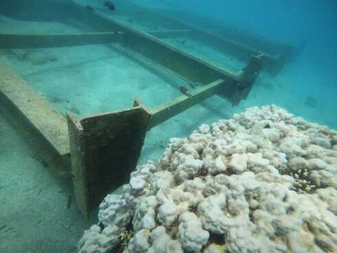 Hierros en el fondo del mar. (Avi Gedalia/Autoridad de Naturaleza y Parques de Israel) Desechos en la Bahía de Eilat.