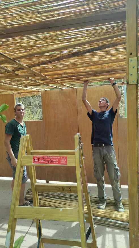 Ori Ben Yishai y Nahmia Gorlik construyen una suká en Kiryat Arba, Hebron.