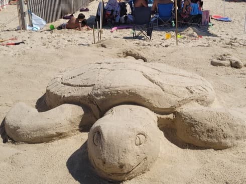 Concurso de esculturas de arena en el Parque Nacional Palmachim. 