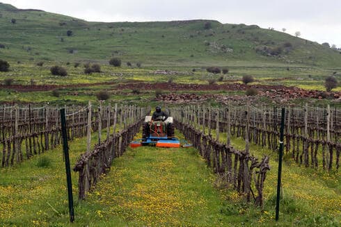 Un agricultor en los Altos del Golán.