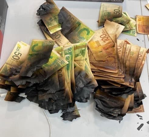 Los billetes quemados tras ser calentados en un microondas. 
