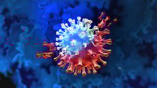 Coronavirus