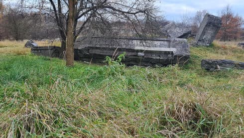 Una espesa vegetación crece entre las ruinas del antiguo recinto del campo de concentración de Plaszow. (Cnaan Liphshiz) Una espesa vegetación crece entre las ruinas del antiguo recinto del campo de concentración de Plaszow.