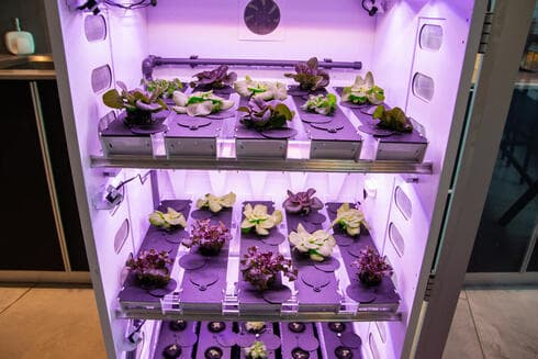 El AgwaGarden tiene el tamaño de una cava para vinos. 
