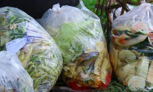 El rescate de alimentos debe ser una política nacional, según un estudio. (Shutterstock) El rescate de alimentos debe ser una política nacional, dice el estudio.