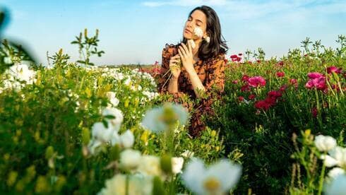 Campo de flores en Gan Yavne. 