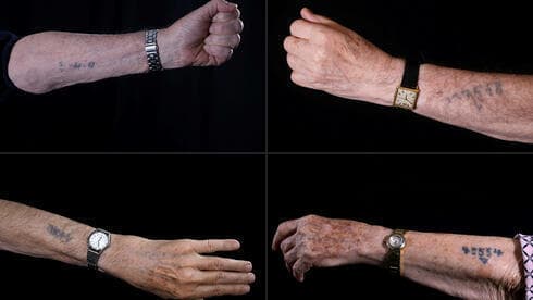 Sobrevivientes del campo de exterminio nazi de Auschwitz muestran sus números de prisioneros tatuados en sus antebrazos. (AFP) Sobrevivientes del campo de exterminio nazi de Auschwitz muestran sus números de prisioneros tatuados en sus antebrazos.