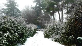 Nevada en los Altos del Golán, ayer miércoles. 