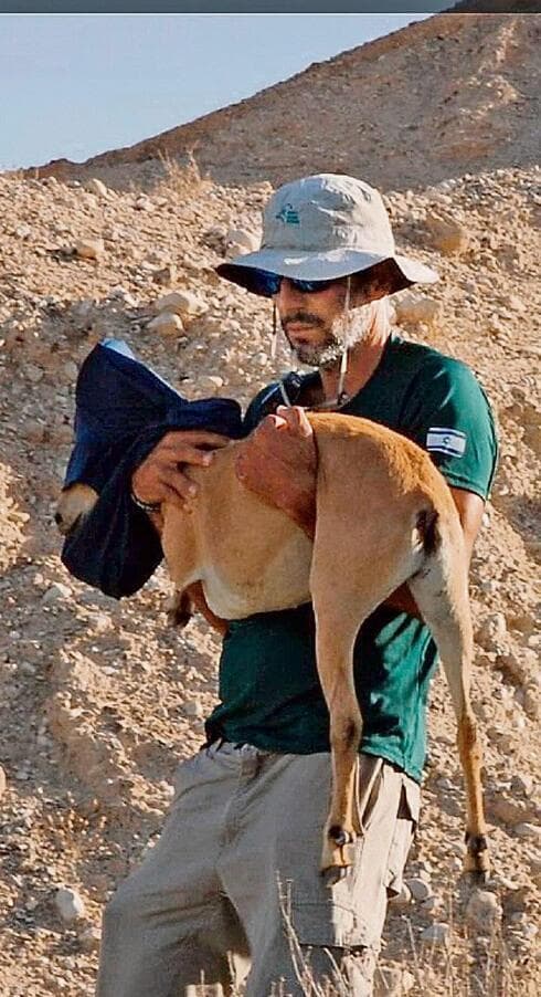 Uno de los rescates exitosos realizados por las autoridades israelíes. (Gentileza Autoridad de Naturaleza y Parques)) Uno de los rescates exitosos realizados por las autoridades israelíes.