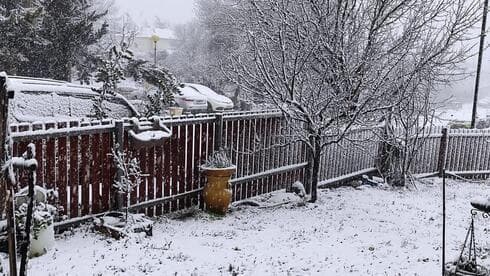 Nieve en Alonei Habashan, en los Altos del Golán. 