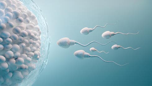 Tratamiento de fertilidad.