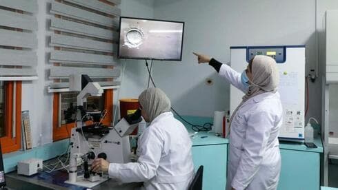 Médicos y técnicos palestinos trabajan en el laboratorio de fecundación in vitro. (AFP) Médicos y técnicos palestinos trabajan en el laboratorio de fecundación in vitro de la clínica de fertilidad Razan Center de Naplusa, en Cisjordania.