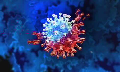 COVID-19, el virus que obligó a cambiar varios hábitos, incluso los laborales. (Shutterstock) COVID-19, el virus que obligó a cambiar varios hábitos, incluso los laborales.