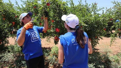 Atletas del Maccabi USA se ofrecen como voluntarios en el Hashomer HaChadash del Fondo Nacional Judío de Estados Unidos. (Cortesía JNF) Atletas del Maccabi USA se ofrecen como voluntarios en el Hashomer HaChadash del Fondo Nacional Judío de Estados Unidos.