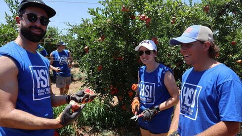 Atletas del Maccabi USA se ofrecen como voluntarios en el Hashomer HaChadash del Fondo Nacional Judío de Estados Unidos. (Cortesía JNF) Atletas del Maccabi USA se ofrecen como voluntarios en el Hashomer HaChadash del Fondo Nacional Judío de Estados Unidos.