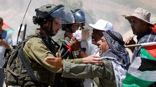 Palestinos FDI