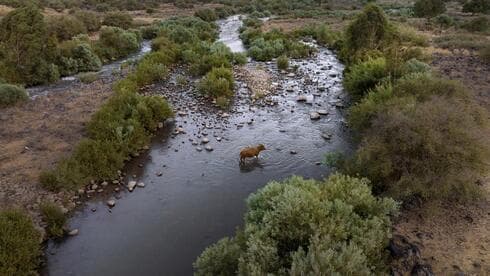Río Jordán