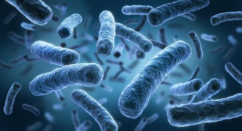 Ilustración de cómo se ven las bacterias. 