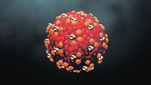 Ilustración. 