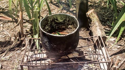 Té de ayahuasca