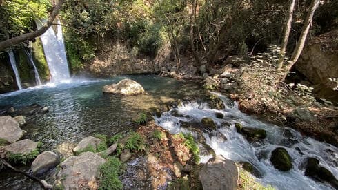 Reserva Natural de Banias. 
