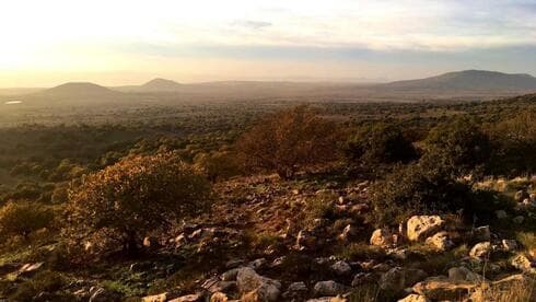 La cresta de Bashanit en los Altos del Golán. (Naama Mansfeld, Autoridad de Naturaleza y Parques)) La cresta de Bashanit en los Altos del Golán.