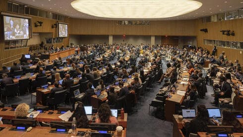 Asamblea General de la ONU.