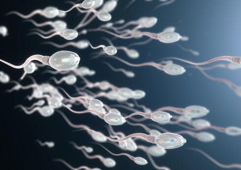 Congelamiento de espermatozoides. 