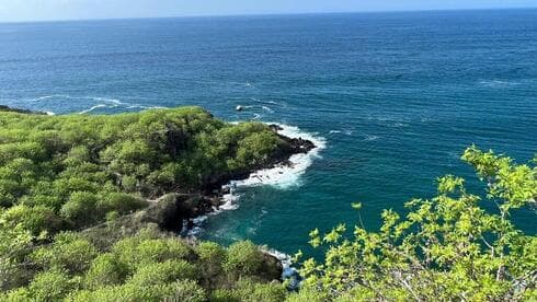 En Galápagos, tanto la tierra como el océano son un vasto campo de investigación. (Yossi Rokni) En Galápagos, tanto la tierra como el océano son un vasto campo de investigación.