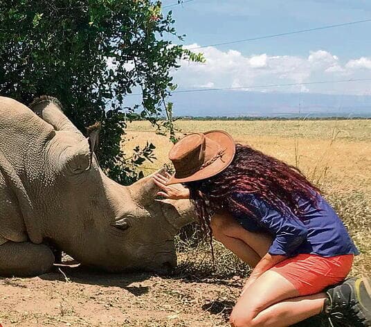 Con un rinoceronte en el campo. 