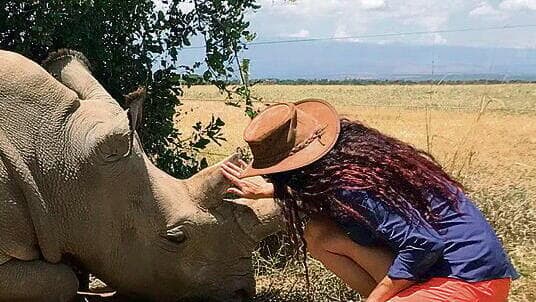 Con un rinoceronte en el campo.