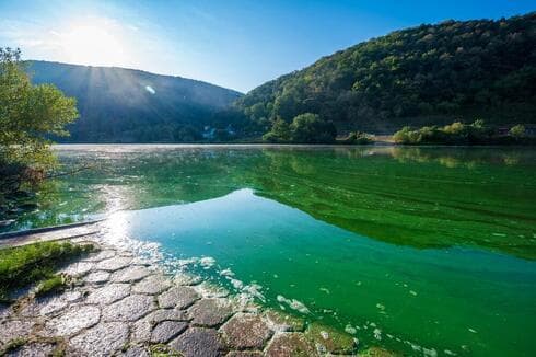 Cianobacterias en un lago en Alemania. 