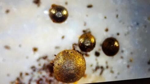 Las esférulas encontradas en el Océano Pacífico. 
