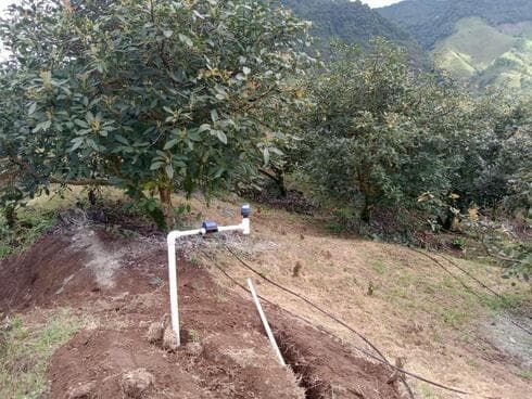 Sistema de riego por goteo. 