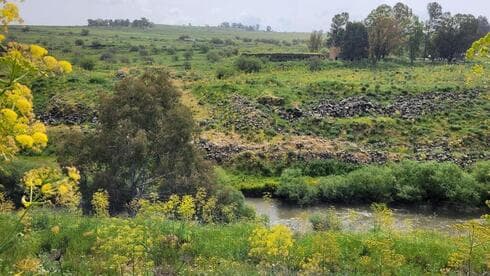 Zona de Gesher Benot Yaakov.