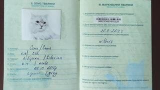 Pasaporte del gato Sema.