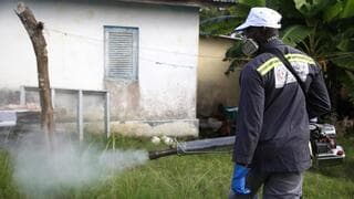 Insecticidas utilizados contra los mosquitos en Brasil.