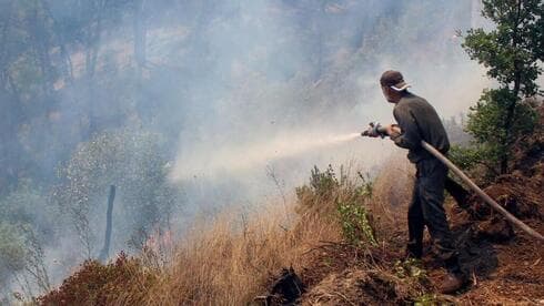 Un bombero intenta extinguir un incendio forestal, en la campiña septentrional de Latakia, Siria. (Reuters) Un bombero intenta extinguir un incendio forestal, en la campiña septentrional de Latakia, Siria.