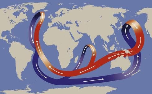 La cinta transportadora oceánica. 