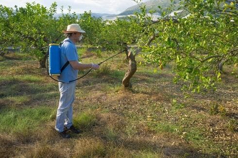 Pesticidas en Israel.
