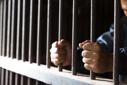 Un israelí fue condenado a prisión en Madagascar por contrabando de tortugas. (Shutterstock) Un israelí fue condenado a prisión en Madagascar por contrabando de tortugas.