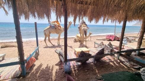Una playa del Sinaí.