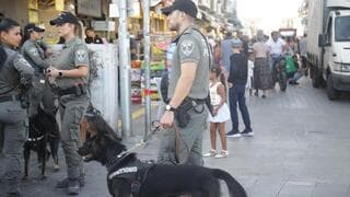 Más de 5.000 agentes policiales distribuidos en todo el país. 