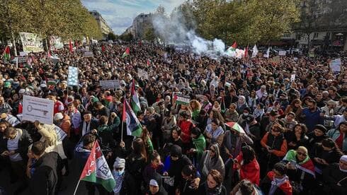Concentración de apoyo a Gaza en Francia.