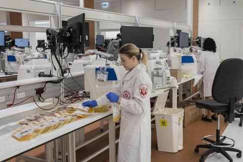 El personal trabaja en el Centro Nacional de Servicios de Sangre Marcus de Magen David Adom, en Ramla, Israel. (AP Foto/Bernat Armangue) El personal trabaja en el Centro Nacional de Servicios de Sangre Marcus de Magen David Adom, en Ramla, Israel.