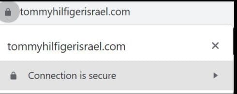El símbolo de candado ya no es suficiente para evitar los sitios engañosos. (Captura de pantalla) Hackers sofisticados.